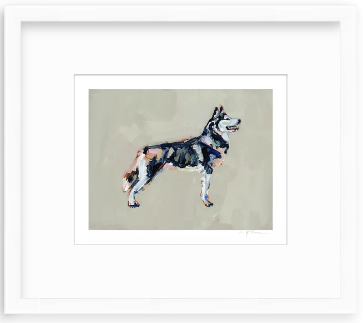 "Siberian Husky" on paper