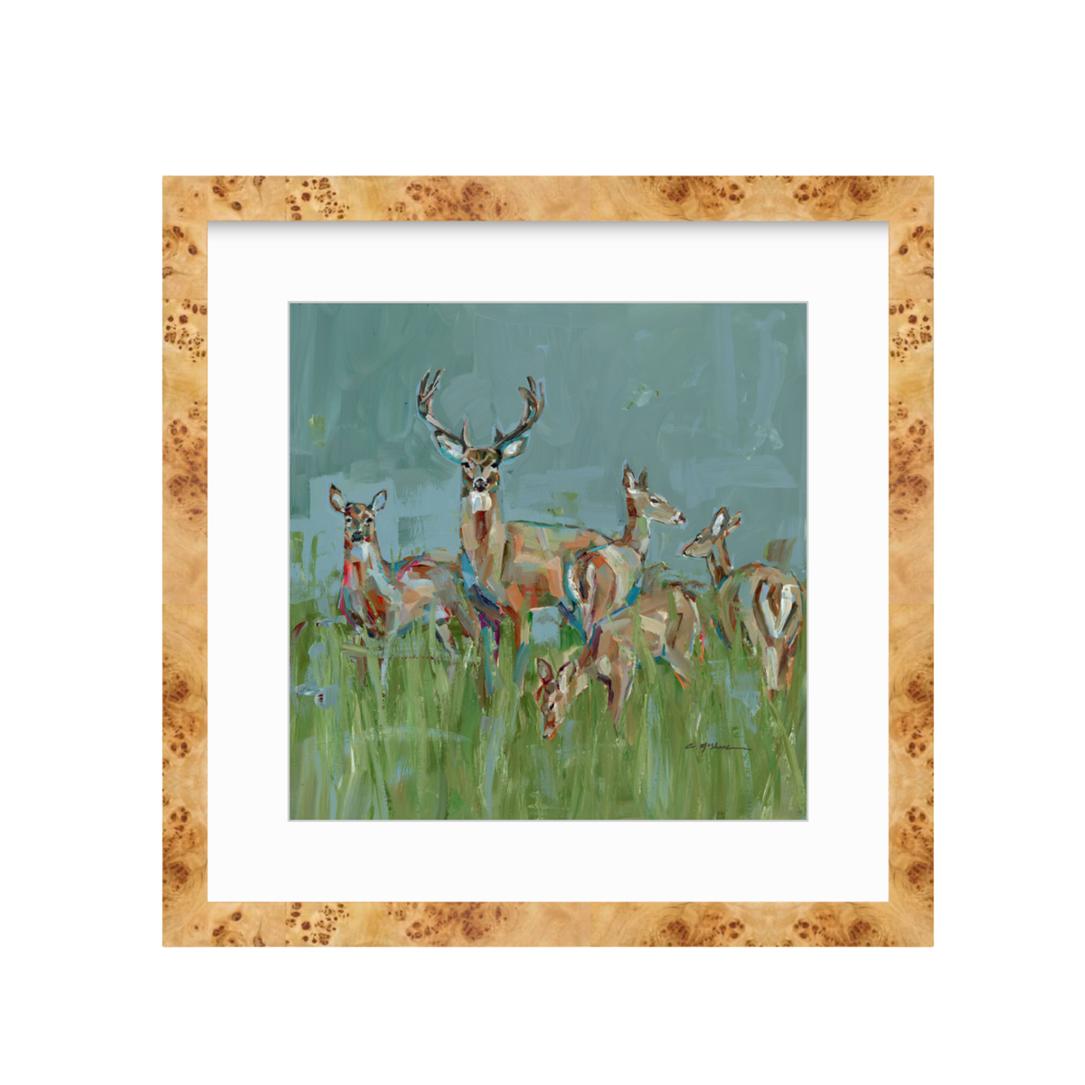 The Gathering Deer Fine Art Print