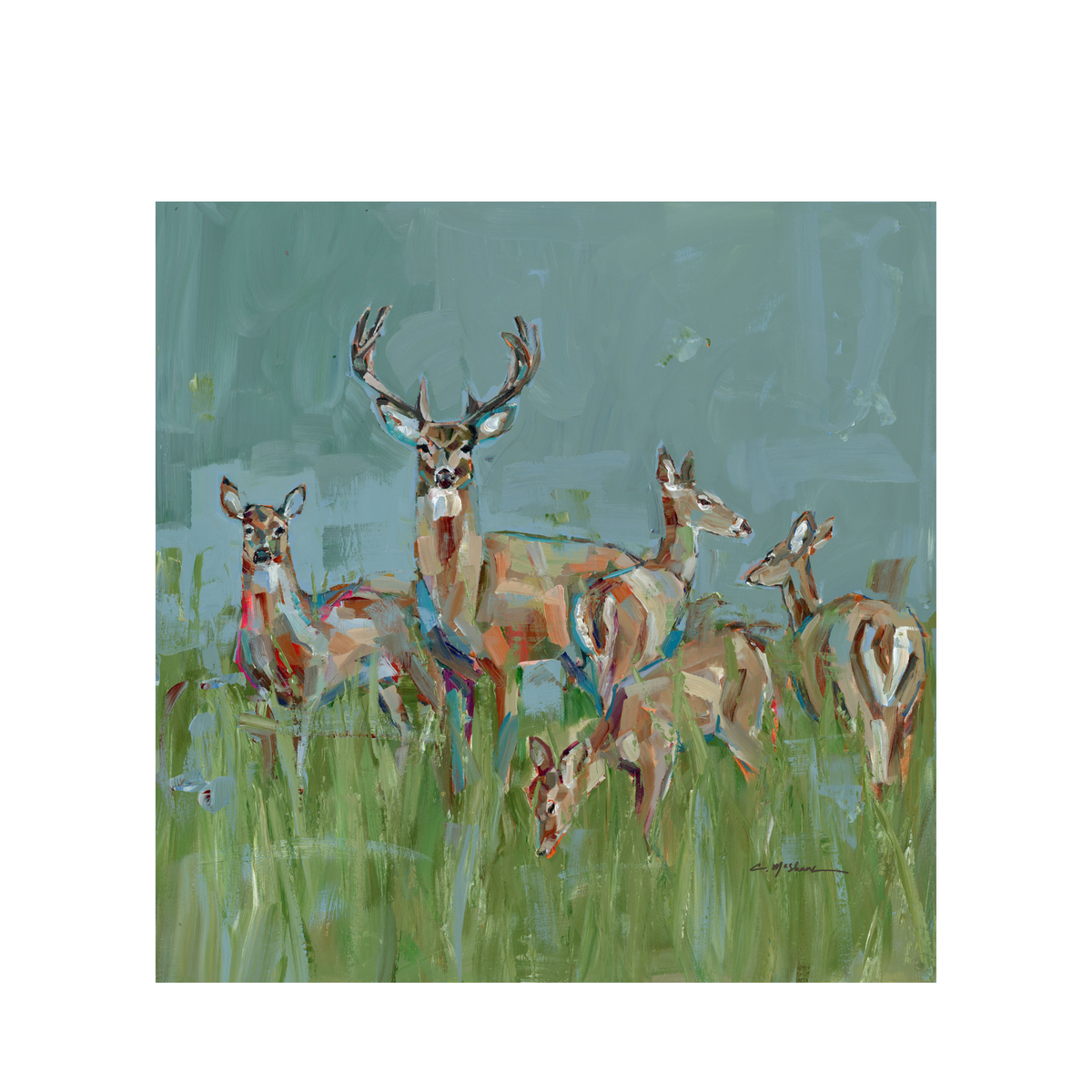 The Gathering Deer Fine Art Print