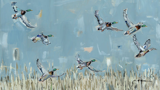 "Duck Season" Samsung TV download