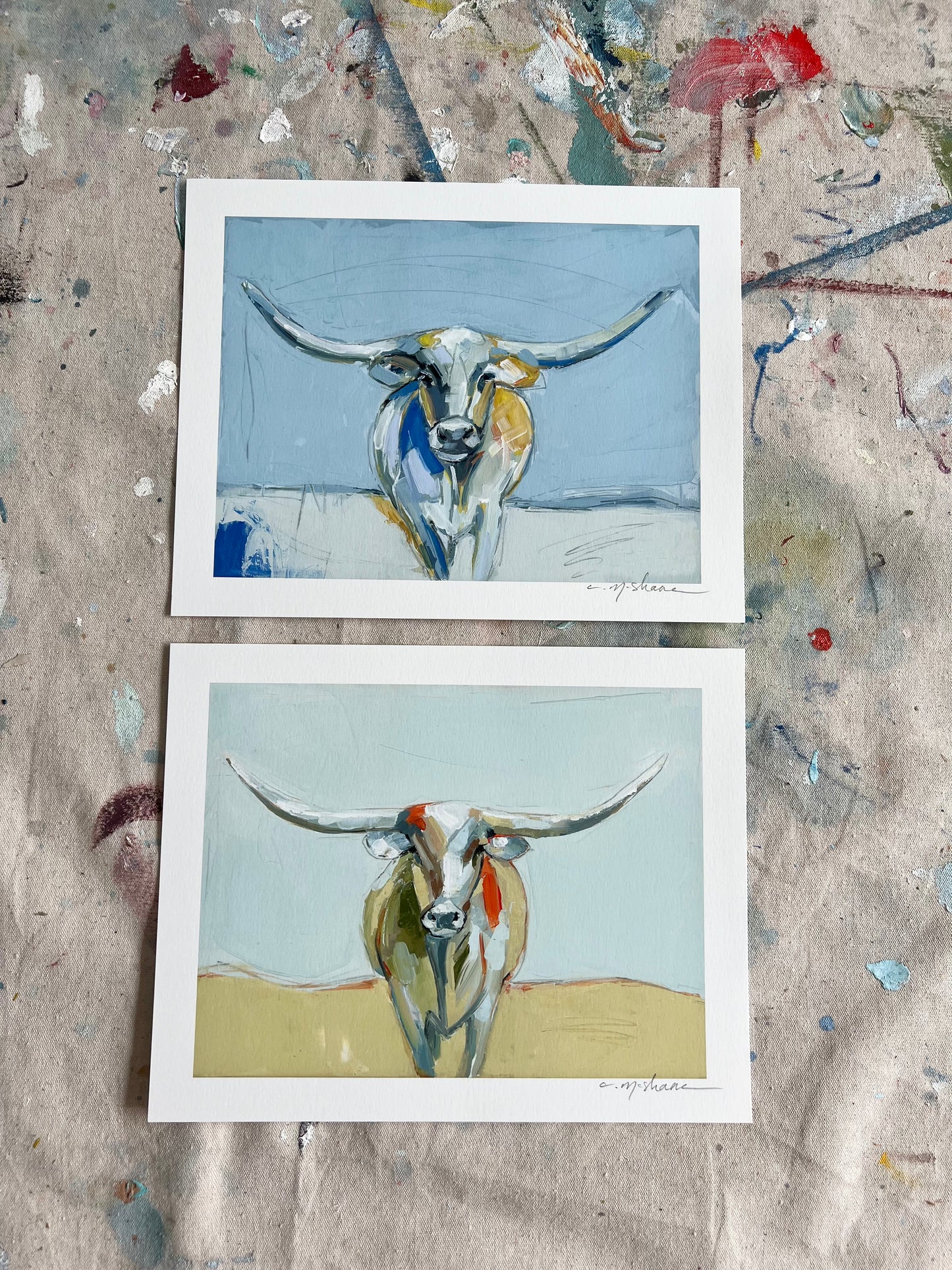 Longhorns set of 2