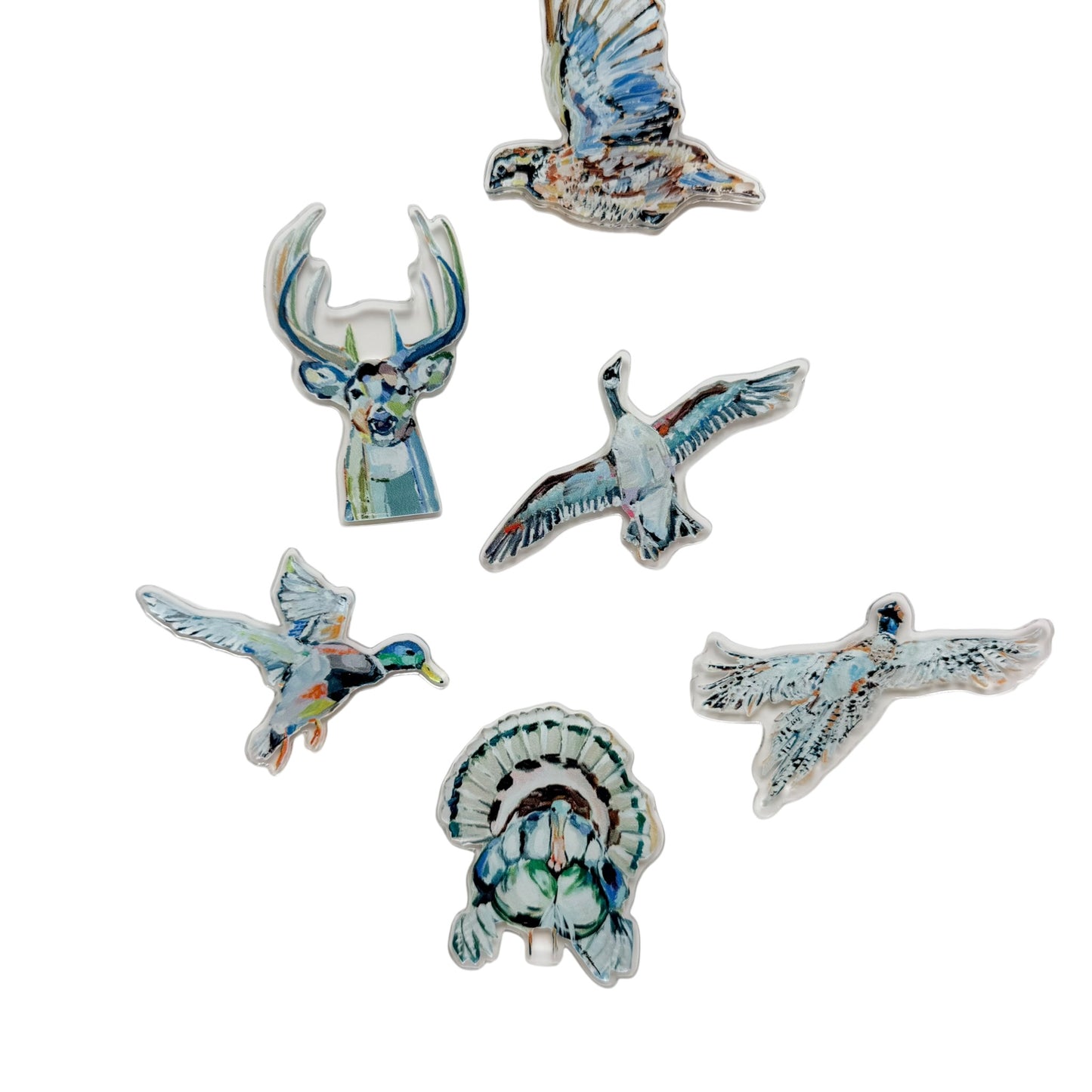 Outdoor Animals Acrylic Magnets | Interchangeable Tabletop & Refrigerator Magnet