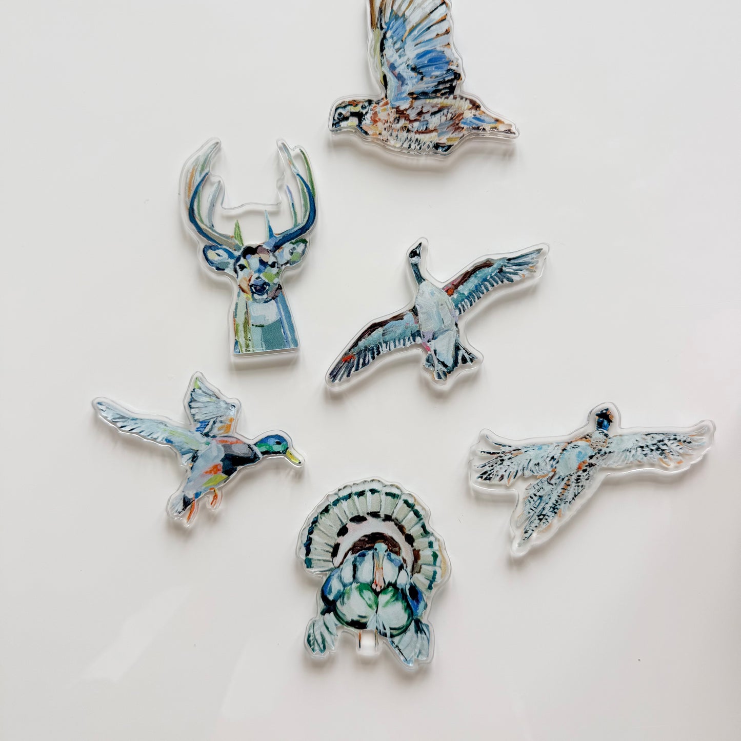 "Outdoor Animals" acrylic magnets