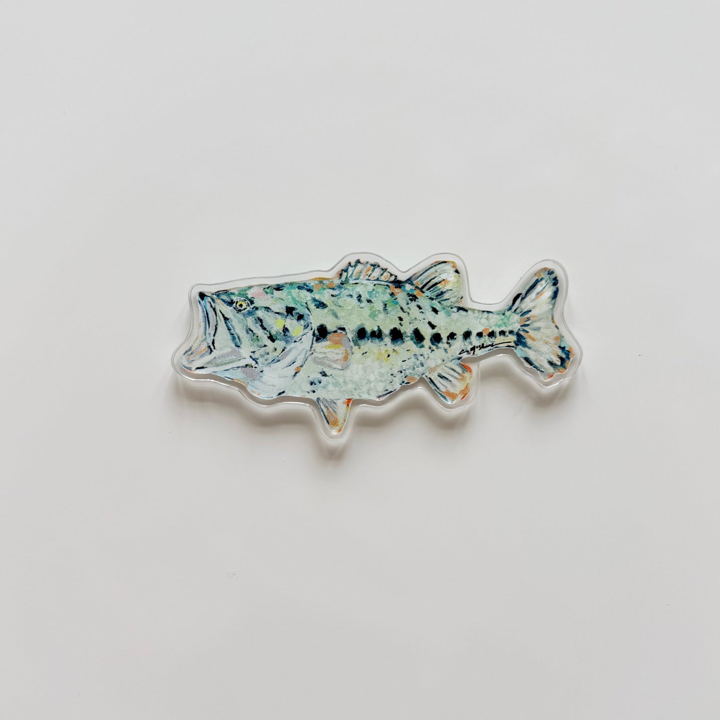 "Fishing" acrylic magnets