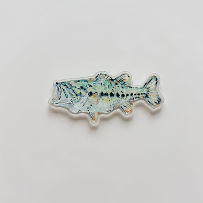 "Fishing" acrylic magnets