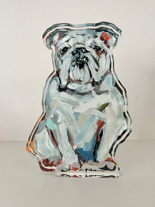 "English Bulldog White" acrylic