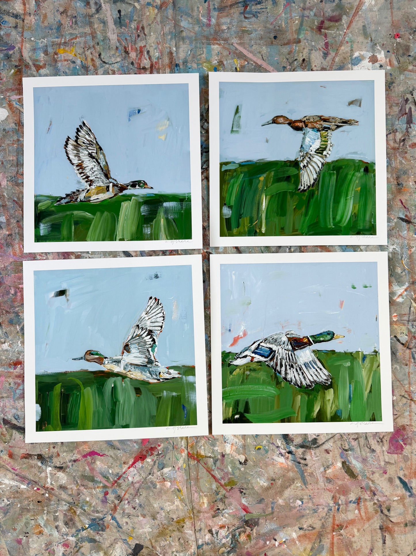 "Waterfowl" hand signed paper prints (set of 4)