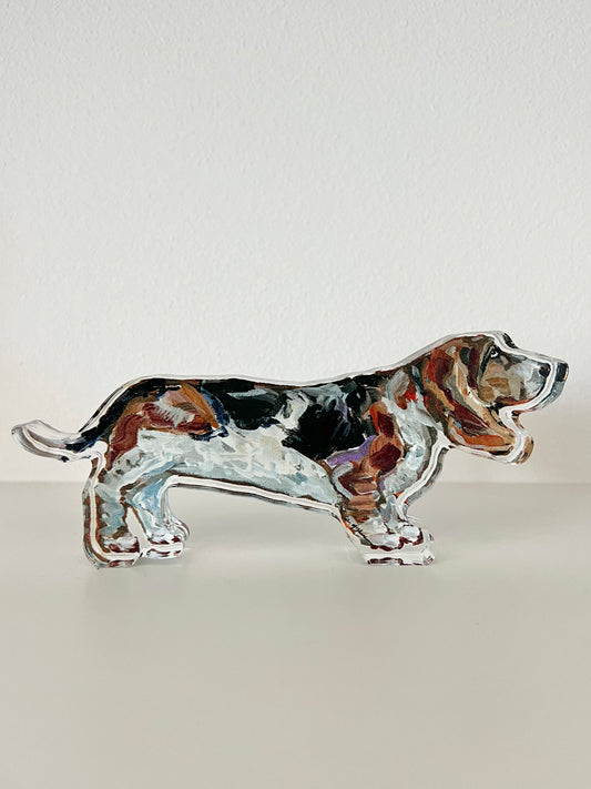 "Basset Hound Tri" acrylic