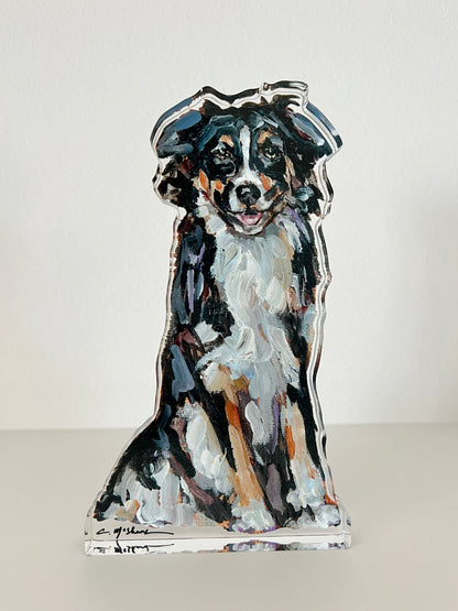 "Australian Shepherd Black & White" acrylic