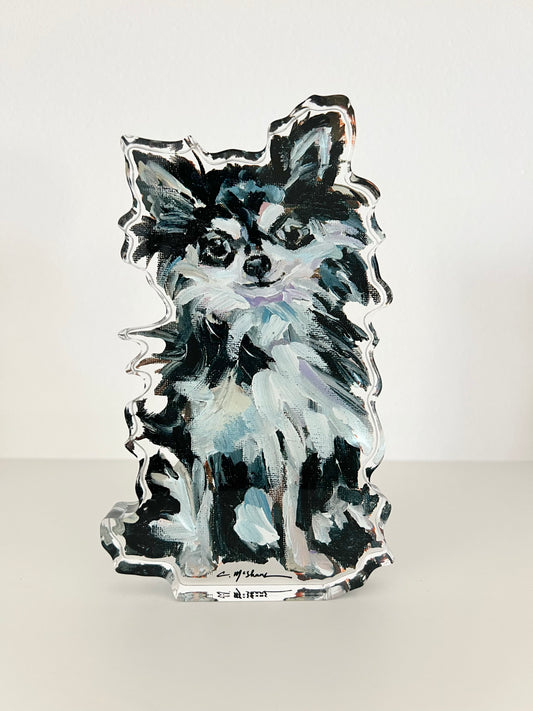 "Chihuahua Black & White Long-hair" acrylic