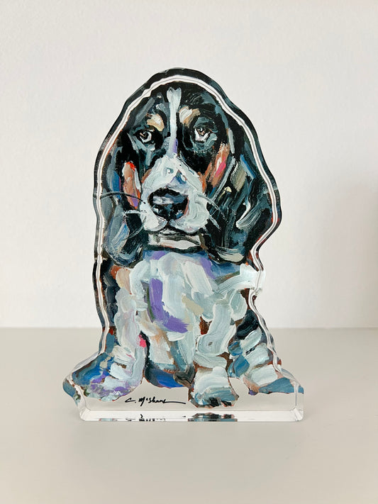 "Basset Hound Black & White" acrylic