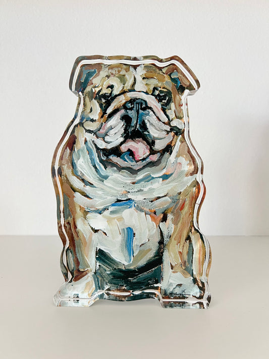 "English Bulldog Fawn & White" acrylic