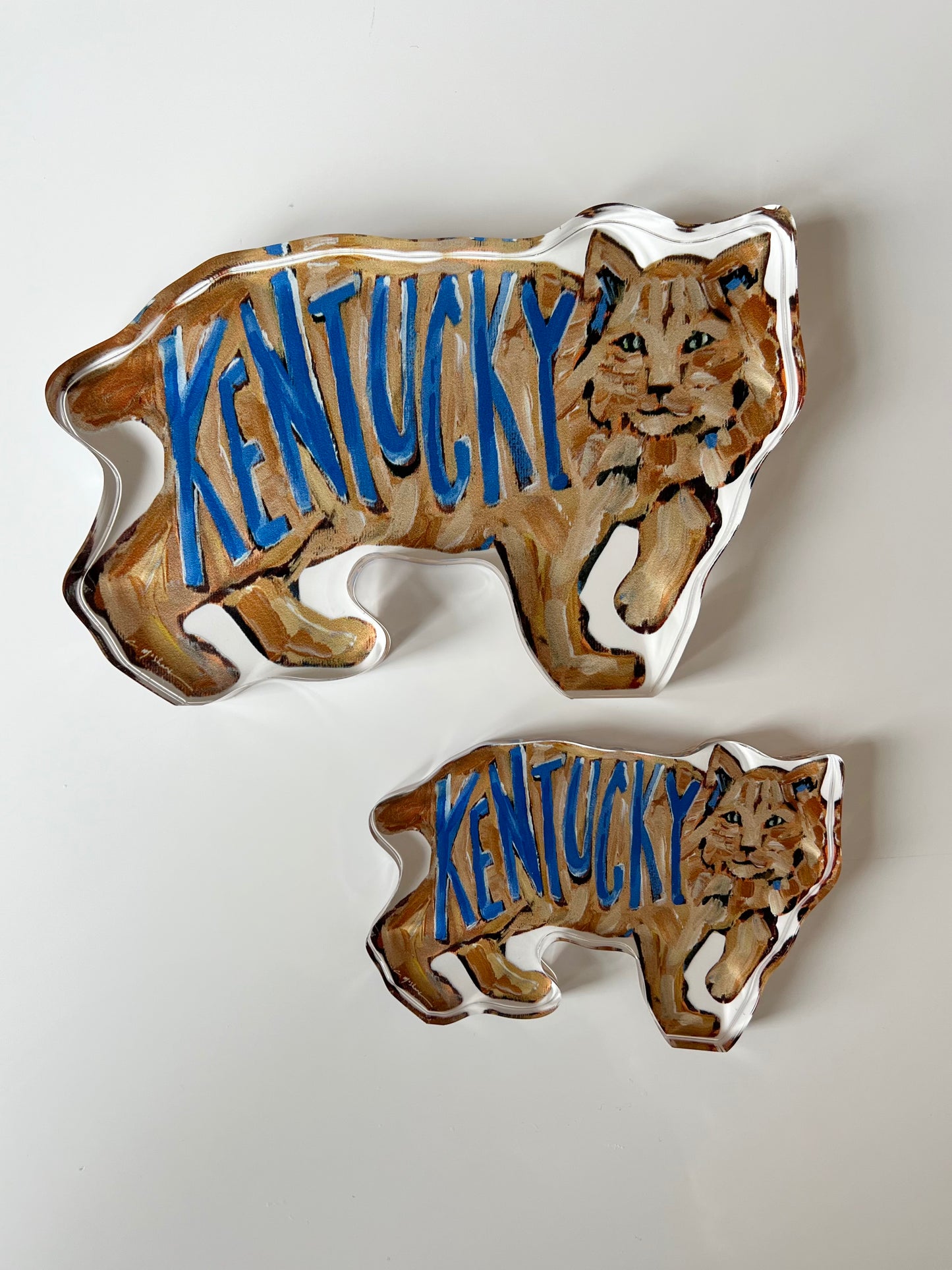 "Kentucky" acrylic shelfie