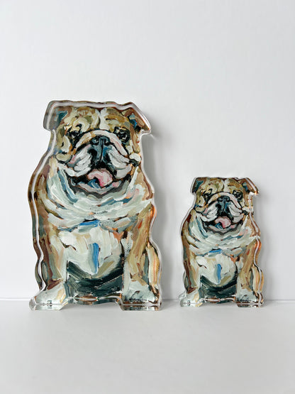 "Bulldog Fawn & White" acrylic WHOLESALE