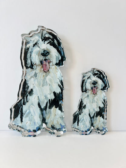 "Sheepadoodle II" acrylic