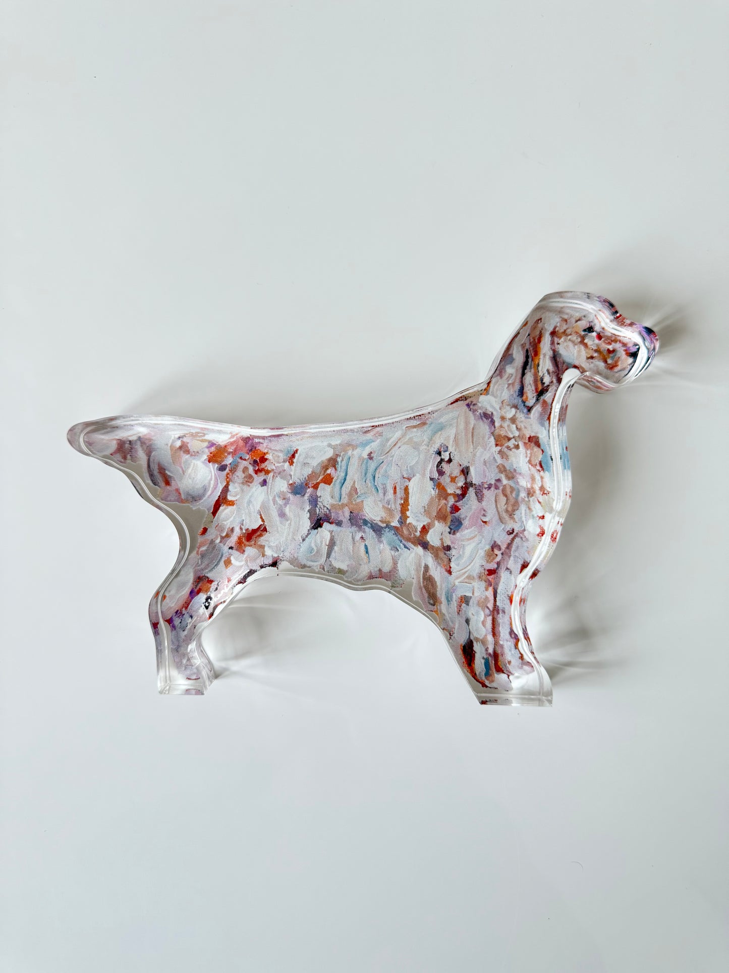 “English Setter Light” acrylic shelfie WHOLESALE