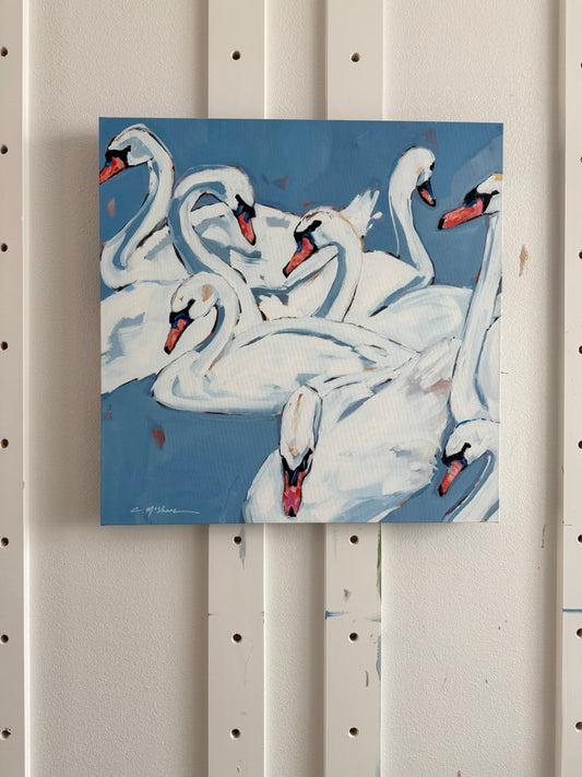 "Swan Lake" 24X24 canvas print