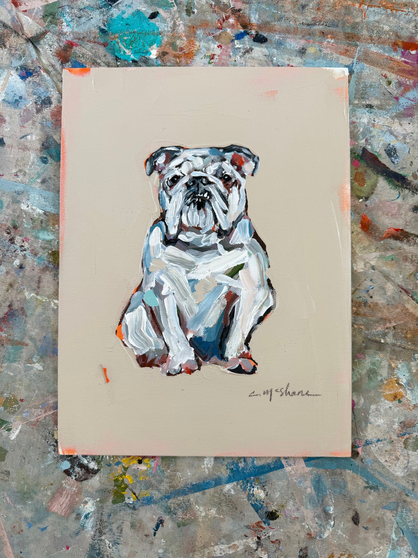 Original White English Bulldog (Never Released)