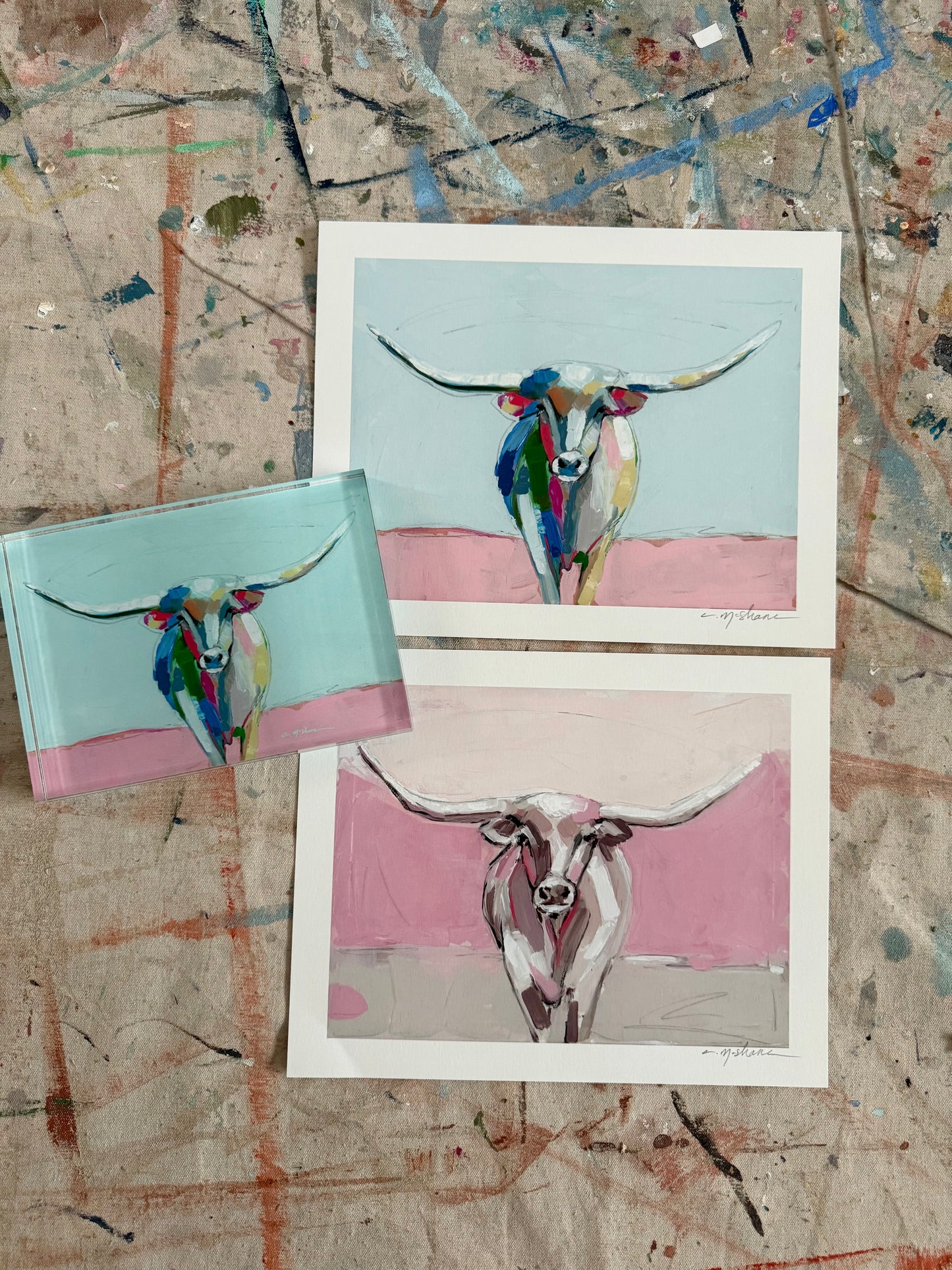 Longhorns set of 2 10X8s + acrylic