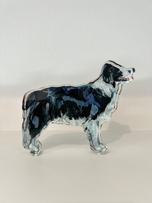 Border Collie (Acrylic Cut Out)