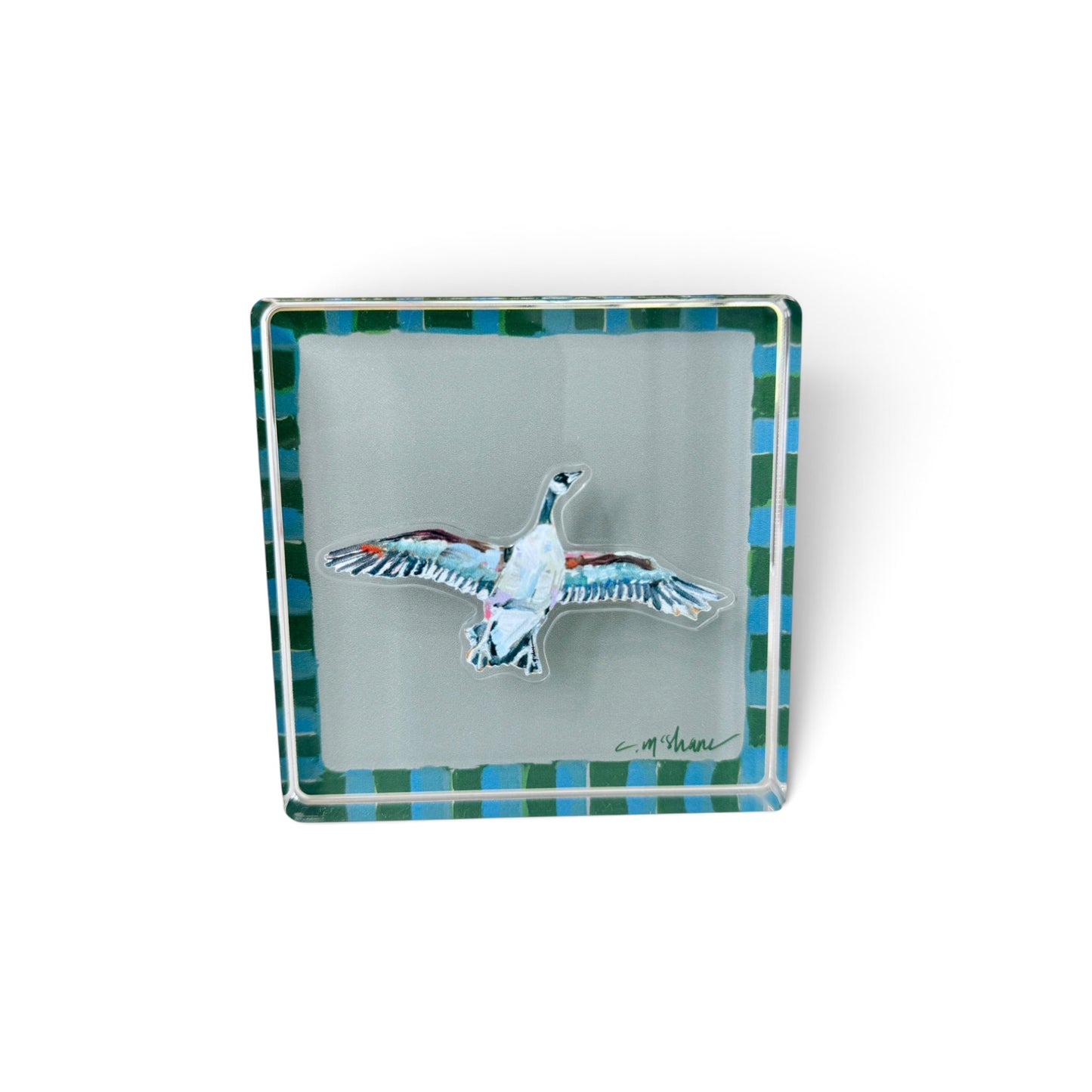 Blue & Green Magnet Block | Interchangeable Acrylic Tabletop Display