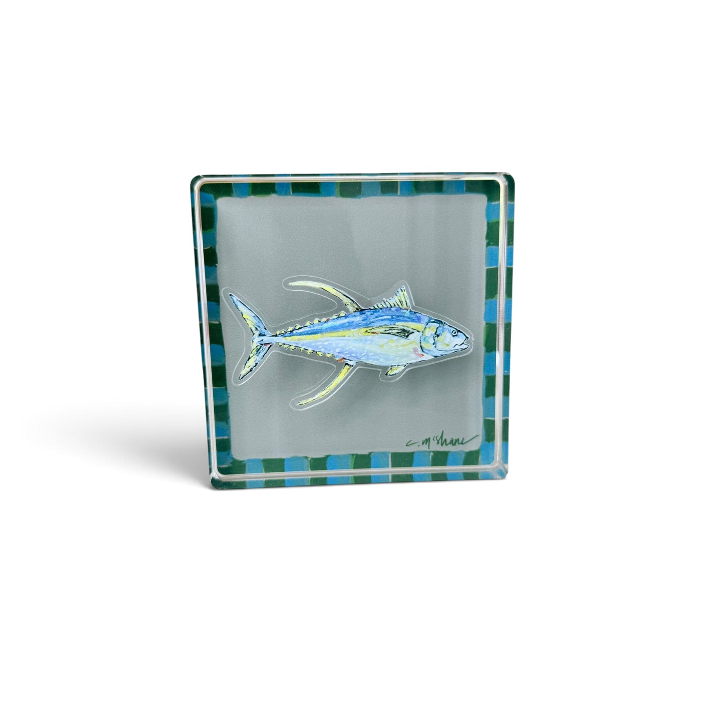 Blue & Green Magnet Block | Interchangeable Acrylic Tabletop Display