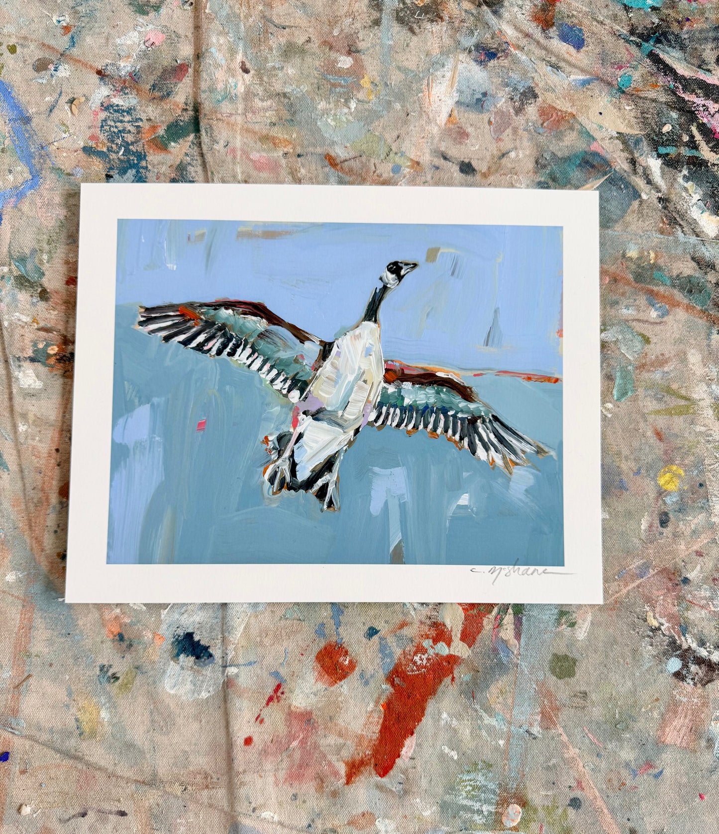 "Goose" 10X8 hand signed paper print