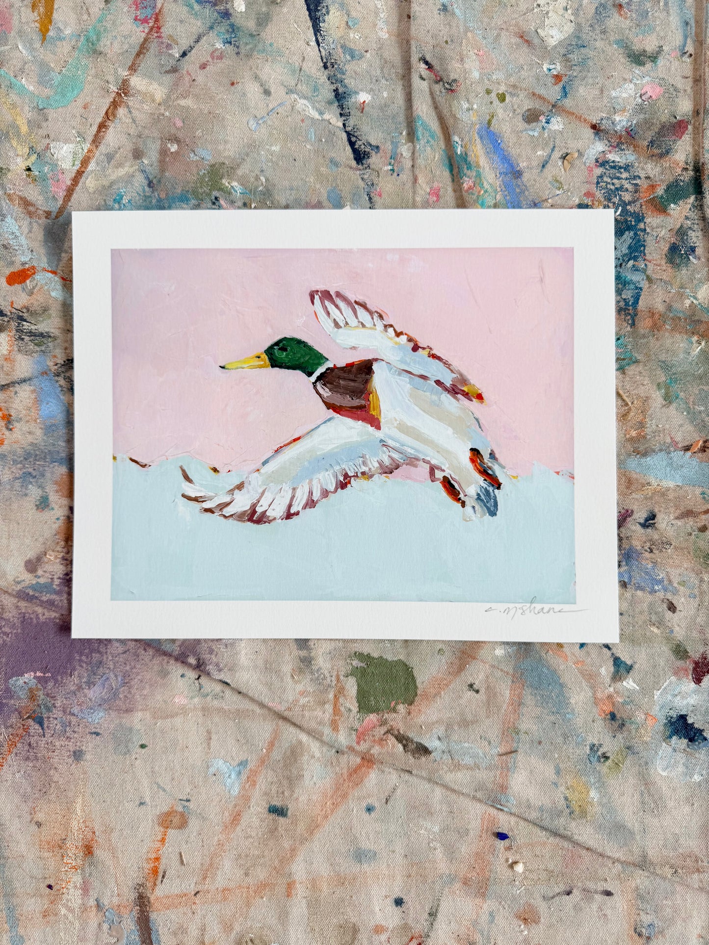 "Mallard Pinks" 10X8 hand signed paper print