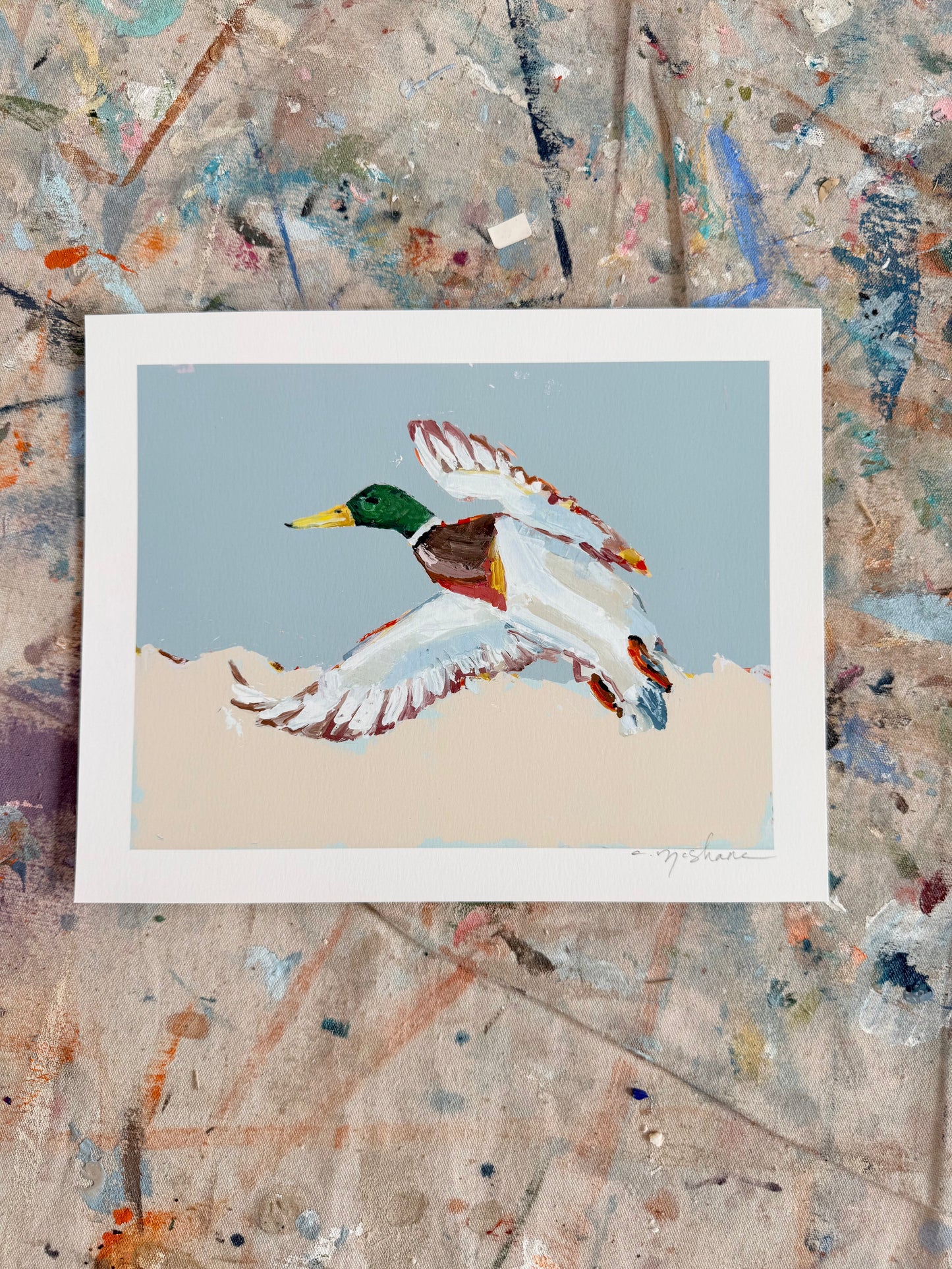 "Mallard" 10X8 hand signed paper print