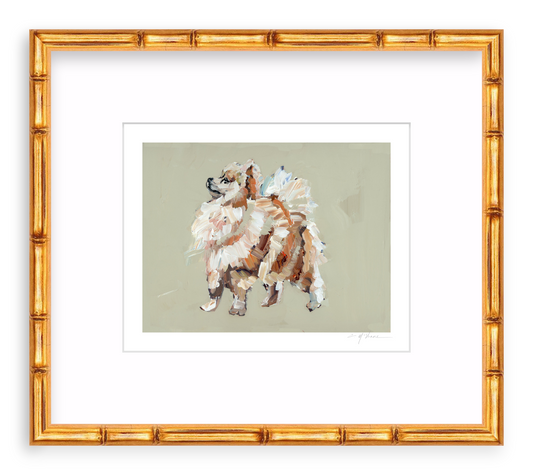 Pomeranian (tan)