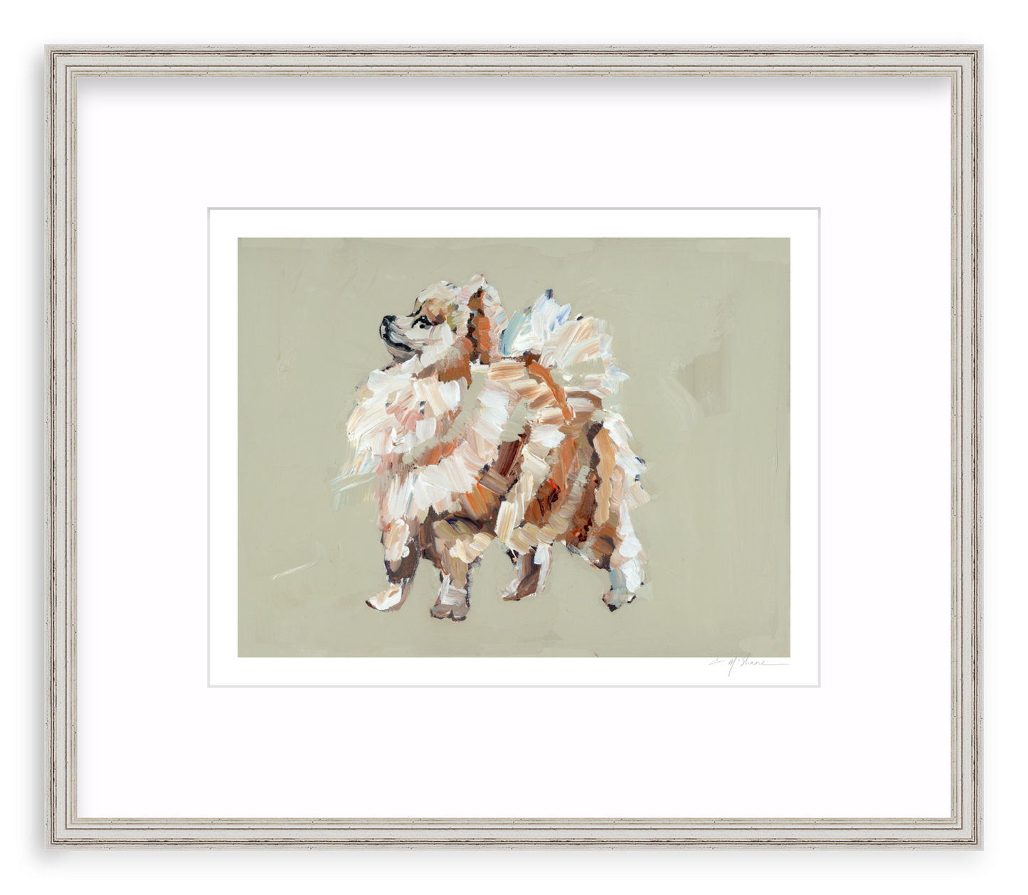Pomeranian (tan)