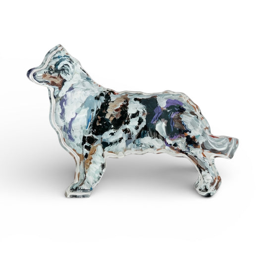 "Australian Shepherd Blue Merle" acrylic