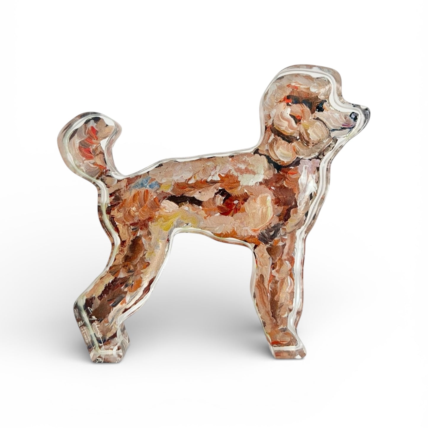 "Poodle Apricot" acrylic