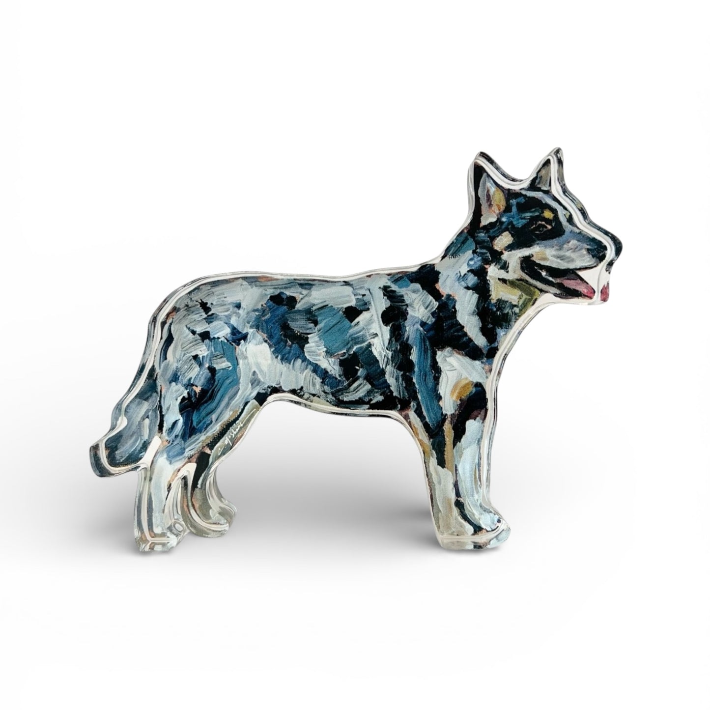 "Blue Heeler" acrylic