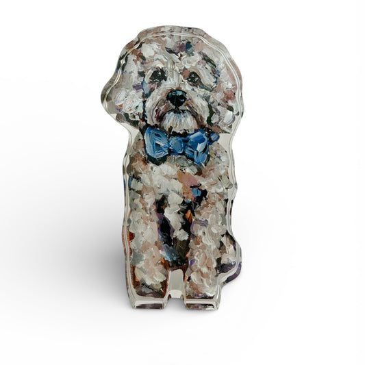 "Cavapoo Blonde With Blue Bow" acrylic