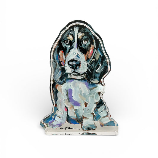 "Basset Hound Black & White" acrylic