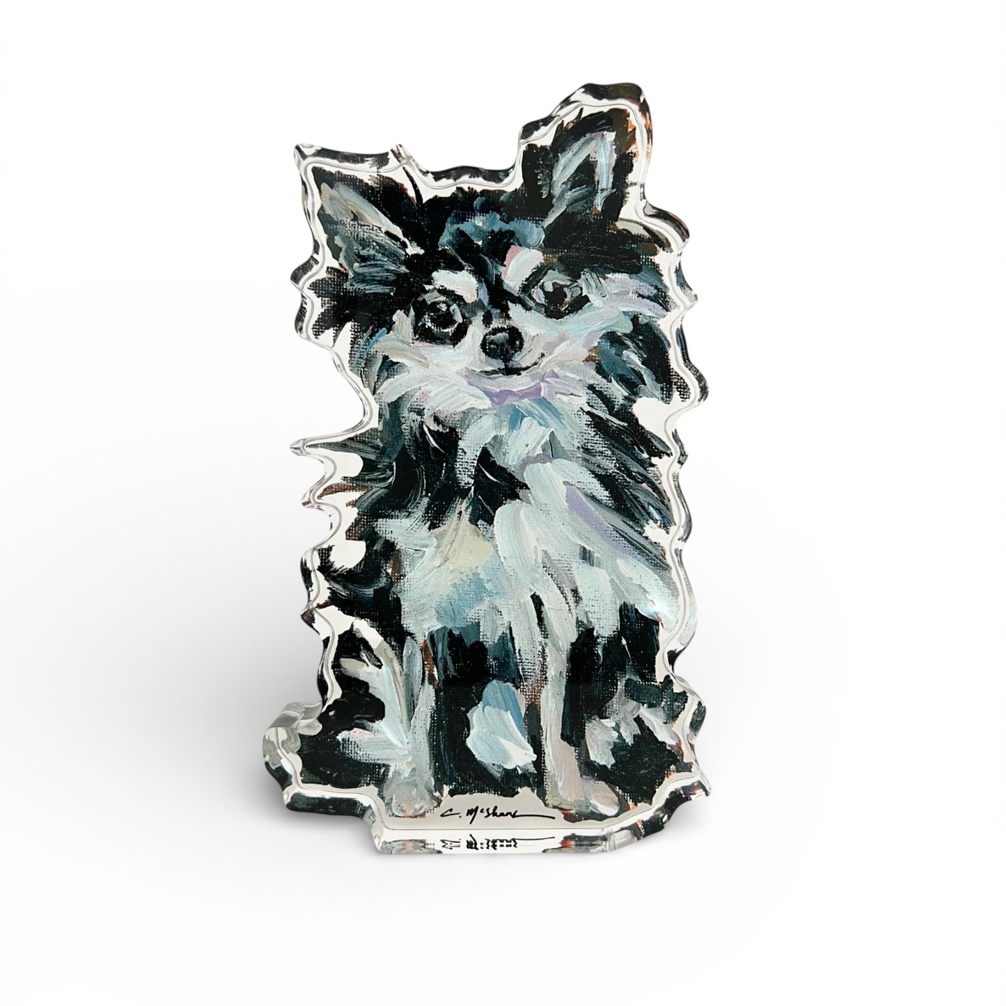 "Chihuahua Black & White Long-hair" acrylic