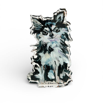 "Chihuahua Black & White Long-hair" acrylic