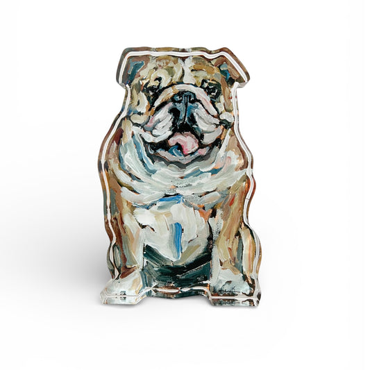 "Bulldog Fawn & White" acrylic