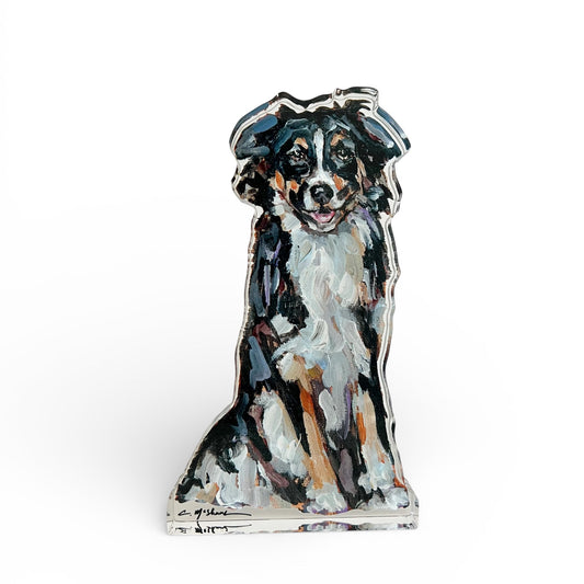 "Australian Shepherd Black & White Tri" acrylic