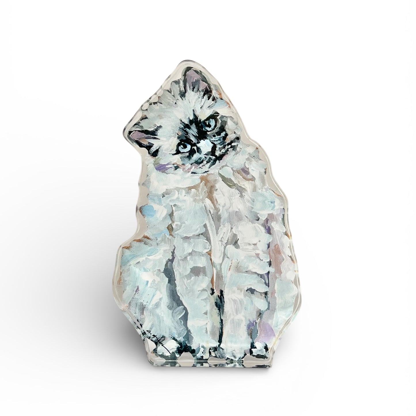 "Ragdoll White Cat" acrylic