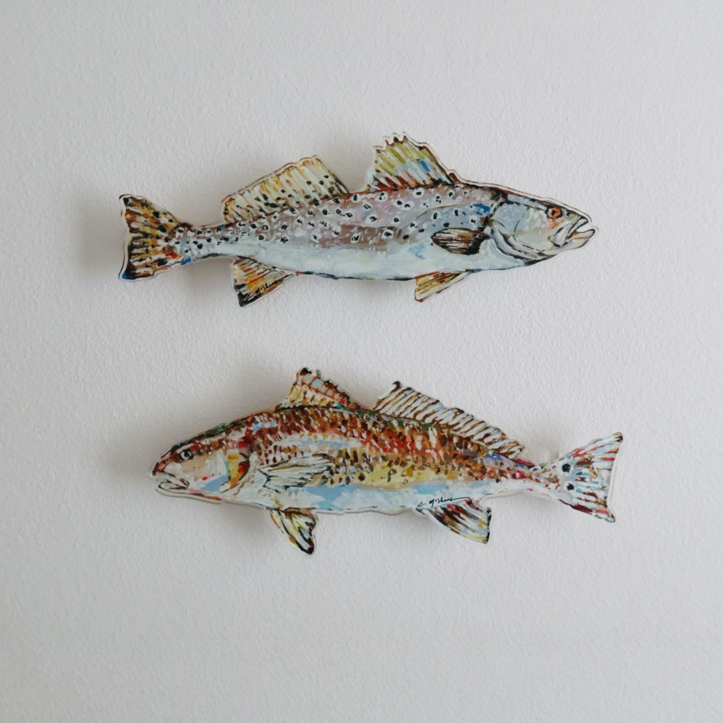 "Redfish" Acrylic Wall Contour