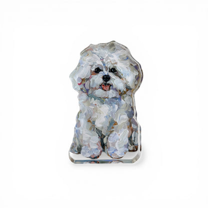 "Bichon Frise" acrylic