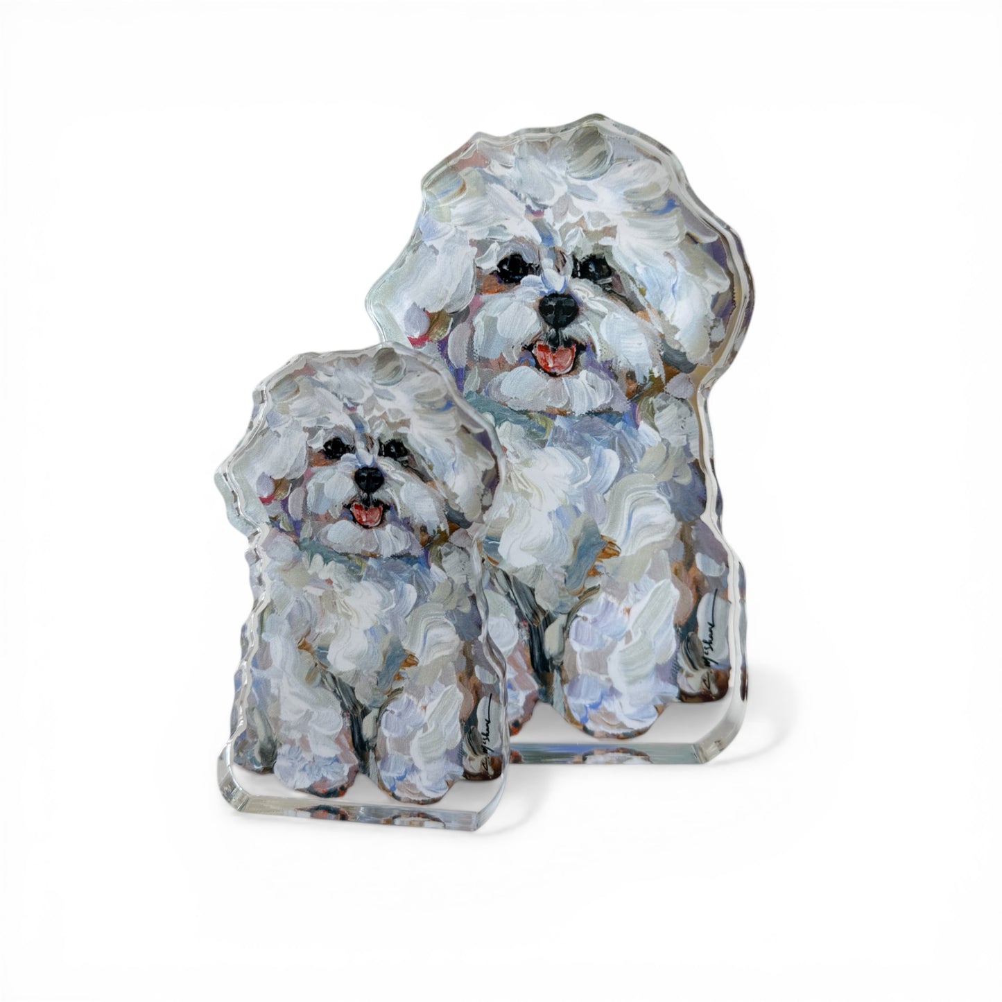 "Bichon Frise" acrylic