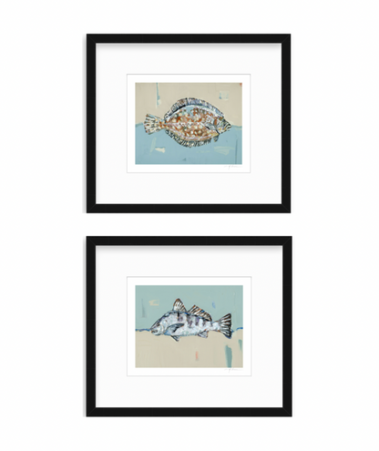 Set of two Flounder and Black Drum fine art prints featuring original coastal fish artwork by Chelsea McShane.