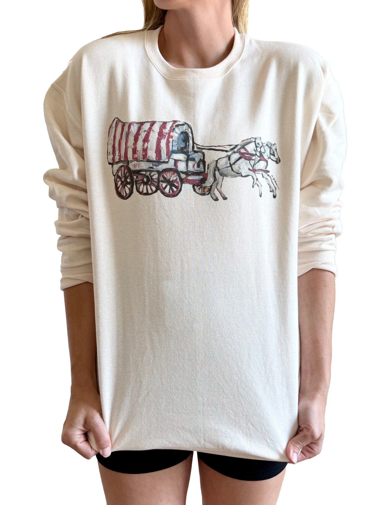 "Striped Wagon" Sweatie