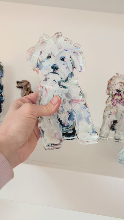 "Maltipoo White" acrylic