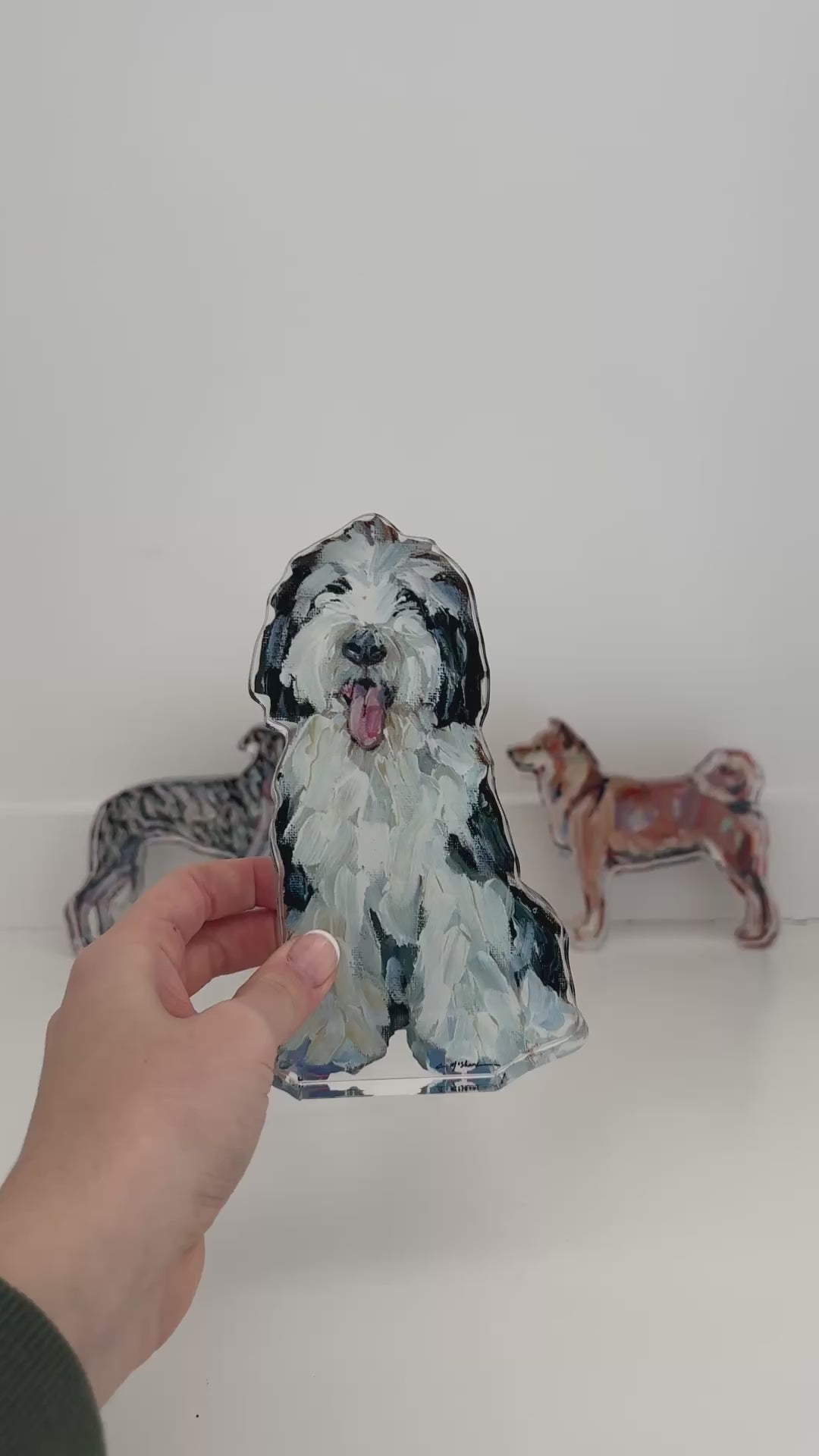 Sheepadoodle I