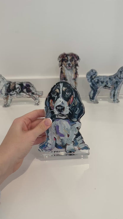 "Basset Hound Black & White" acrylic