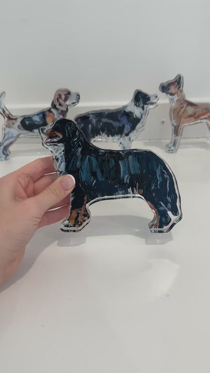 "Bernese Mountain Dog" acrylic